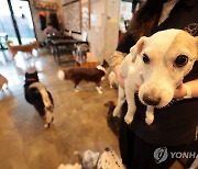 여기는 '우리동네 펫 위탁소'