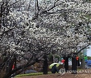 [날씨] 연휴 뒤 포근한 기온…낮 최고 12∼18도