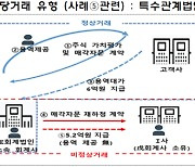 중소 회계법인 10개사, 가족 허위채용 및 SPC설립해 거짓 용역 제공 적발