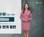 [날씨] 제주 포근한 기온 속 비…내일까지 10~40mm