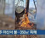 청주 야산서 불…350㎡ 피해