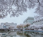 원광대 '교육국제화역량인증제 인증대학' 선정