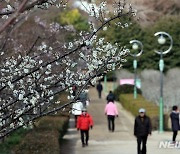 낮 최고 13~18도 포근…가끔 빗방울도 [내일 날씨]