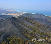 대형산불 겪은 동해시, 봄철 산불 초동대응력 높인다