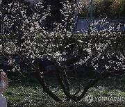 낮 기온 18도까지 올라간 부산