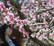 대구·경북 낮 최고기온 18~19도…포근한 2월