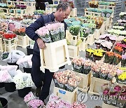 BRITAIN VALENTINE FLOWERS