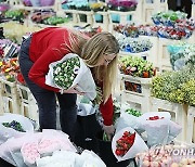 BRITAIN VALENTINE FLOWERS