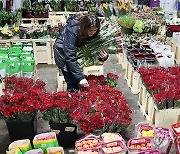 BRITAIN VALENTINE FLOWERS