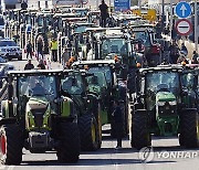 SPAIN FARMERS PROTEST