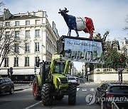 FRANCE FARMERS CRISIS