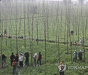 INDIA FARMER PROTEST