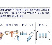 저출산 극복 "20대 난자동결 지원 확대"…서울시, 지원대상 2배↑