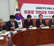 맞춤형 기업금융 지원방안 민당정협의회