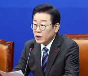 "떡잎 져야 새순 자란다" 물갈이론 내건 이재명…민주당 술렁