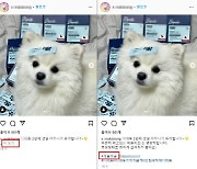 "이게 다 광고였어?"…SNS 뒷광고 인스타그램이 1위