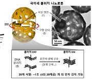 몸속 돌며 '질병 유전자' 탐지···바이러스 크기 나노로봇 개발