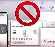 금감원·금보원, 국내은행 대상 사이버 모의해킹 훈련