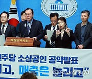 민주당 소상공인 공약 발표