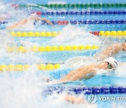 SK텔레콤, '세계선수권 金' 황선우에 특별 포상금 지급