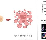 가톨릭대 ‘토종 mRNA 항암 치료제’ 개발