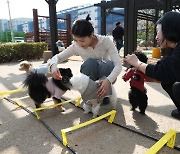 대나무 산책로에 세족장까지… 놀러오세요 '동숲'