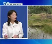 [대담] 사라져가는 제주 습지…실태와 대책은?