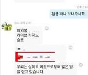 北 39호실, 韓 범죄조직에 도박사이트 수천개 팔았다