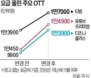 [단독] 통신요금 다음은 OTT…정부, 구독료 인하 압박