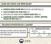 산림청, 국외산림탄소배출감축법 17일부터 시행