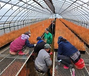 산림청, 삼성양묘장 '스마트시스템' 가동 준비…생산효율 증대