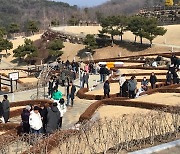 울산시설공단 울산하늘공원, 설 연휴 동안 5만여명 방문