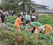 전북 농촌유학생 126명, 24개 학교서 생태친화교육…매년 증가