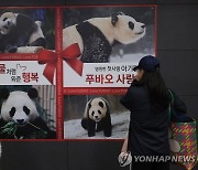 '중국 가서도 행복하길'…푸바오 팬들, 홍대입구역에 광고 선물