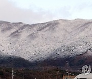 '밀가루 뿌린 듯' 눈쌓인 춘천 대룡산