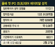 79만명 몰린 '품절주' 에이피알…IPO 兆대어 훈풍