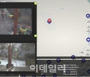 도봉구 놀이터에 멧돼지 4마리 출몰…“포획·사살”