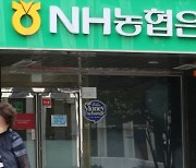 농협금융, 지난해 당기순이익 2조2343억원…전년 대비 0.2%↑