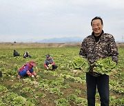 전남도, 2월 친환경농산물에 '유기농 봄동배추'