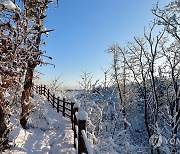 속초 영금정 설경