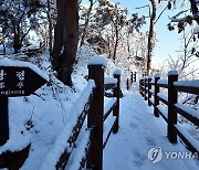 눈쌓인 속초 영랑정 산책로