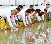 '임금님표 이천 쌀 첫 모내기 행사'