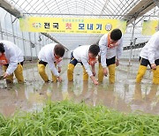 전국 첫 모내기 행사