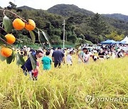 '이색 먹거리 가득'…완주 와일드&로컬푸드축제 10월 초 개막