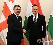 HUNGARY GEORGIA DIPLOMACY