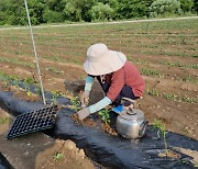 강릉·인제·횡성 '여성농업인 특수건강 검진사업' 지역 선정