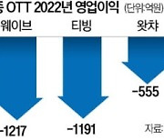 바우처 무상 지급…'토종 OTT' 속앓이