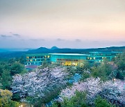 병원이 만든 숲속 호텔 ‘WE제주’ 10주년 헬스 리조트 새 지평