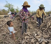 Cambodia Daily Life