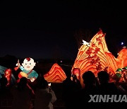 CHINA-SHANXI-TAIYUAN-LANTERN SHOW (CN)